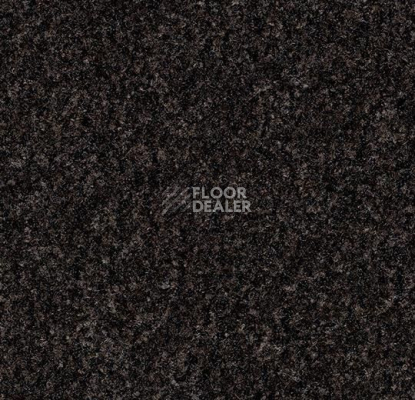 Грязезащитные покрытия Forbo Coral Brush 5715 Charcoal Grey фото 1 | FLOORDEALER